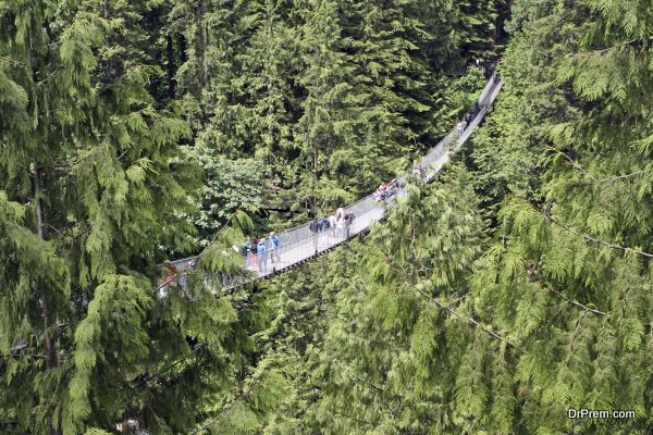 The Capilano suspension bridge, Vancouver