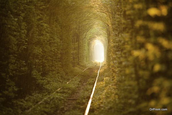 Green tunnel.