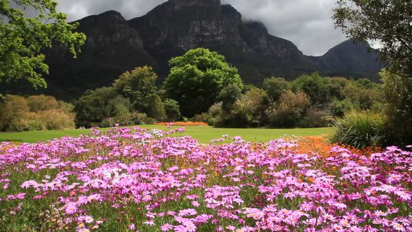 Kristenbosch, Cape Town, South Africa