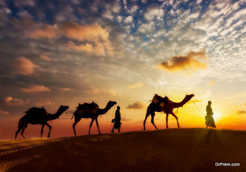 camel-ride-tours