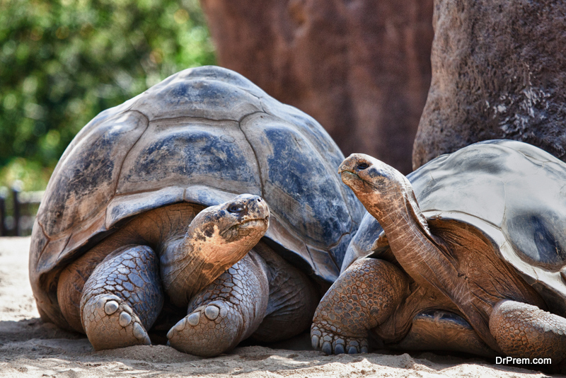 Galapagos-Islands